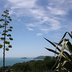 Agave Di , Lerici Italia